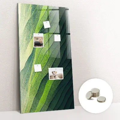 Magnet board Lines landscape nature