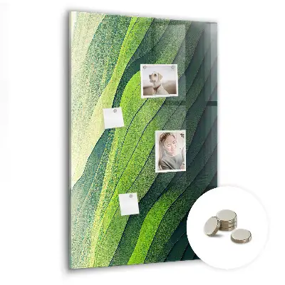 Magnet board Lines landscape nature