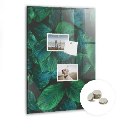 Magnetic wall board Large tropical leaves