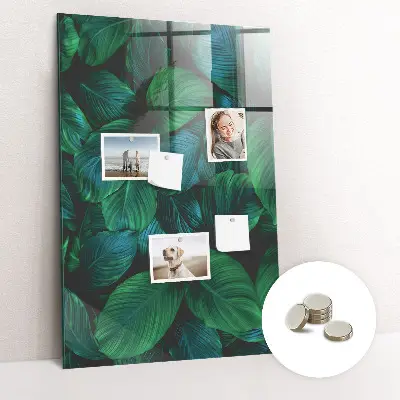 Magnetic wall board Large tropical leaves