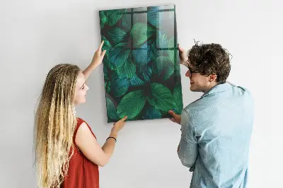 Magnetic wall board Large tropical leaves