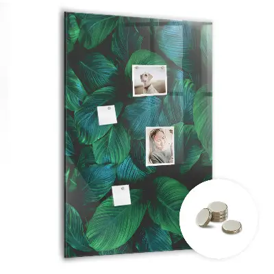 Magnetic wall board Large tropical leaves