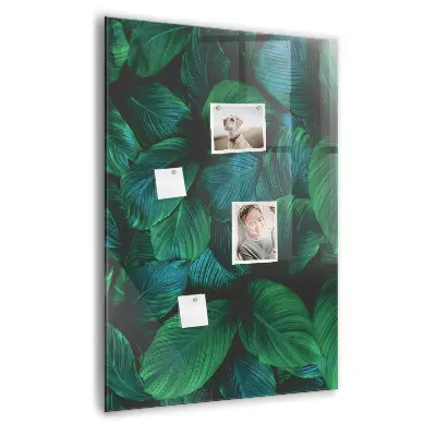 Magnetic wall board Large tropical leaves