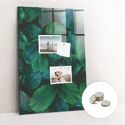 Magnetic wall board Large tropical leaves