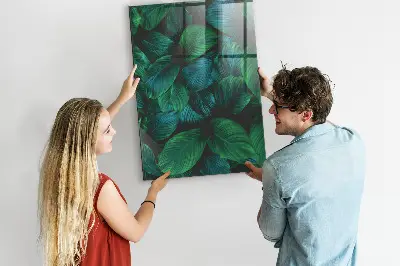 Magnetic wall board Large tropical leaves