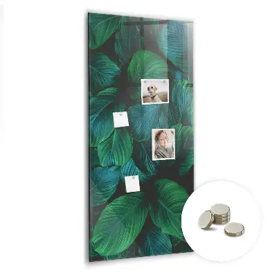 Magnetic wall board Large tropical leaves