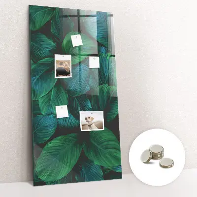 Magnetic wall board Large tropical leaves