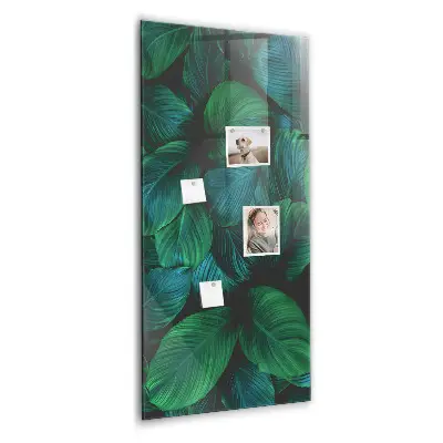 Magnetic wall board Large tropical leaves