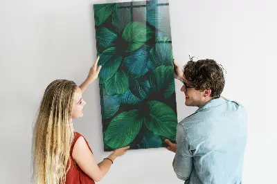 Magnetic wall board Large tropical leaves