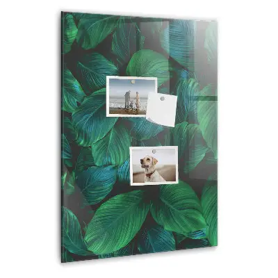 Magnetic wall board Large tropical leaves