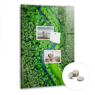 Magnetic Glass Dry Erase Board Featuring a Forest River Scene