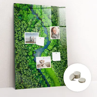 Magnetic Glass Dry Erase Board Featuring a Forest River Scene