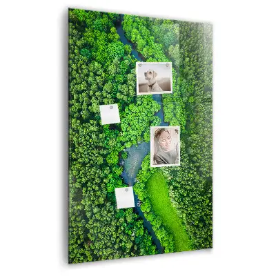 Magnetic Glass Dry Erase Board Featuring a Forest River Scene