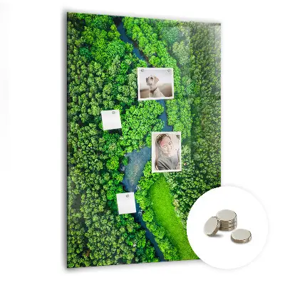 Magnetic Glass Dry Erase Board Featuring a Forest River Scene