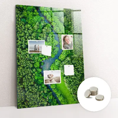 Magnetic Glass Dry Erase Board Featuring a Forest River Scene