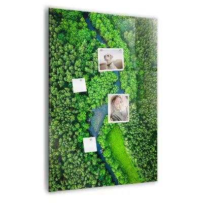 Magnetic Glass Dry Erase Board Featuring a Forest River Scene