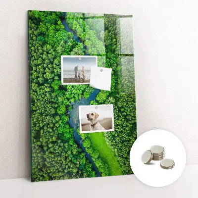 Magnetic Glass Dry Erase Board Featuring a Forest River Scene