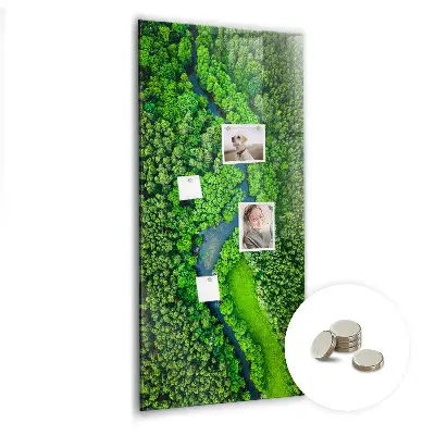 Magnetic Glass Dry Erase Board Featuring a Forest River Scene