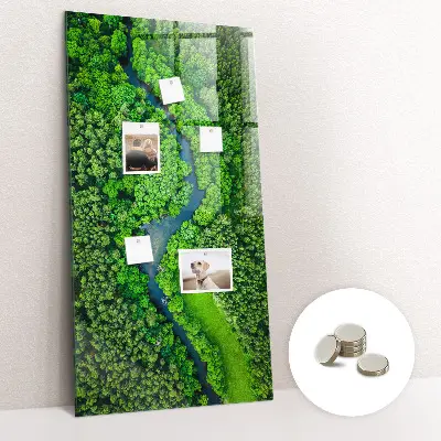Magnetic Glass Dry Erase Board Featuring a Forest River Scene