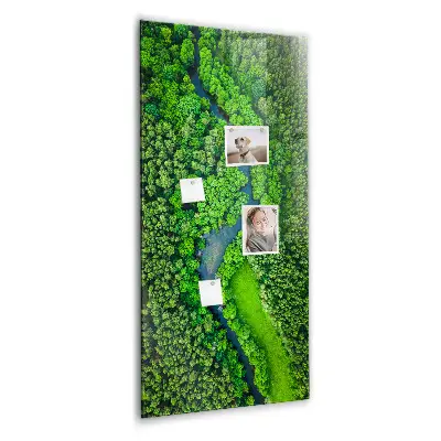 Magnetic Glass Dry Erase Board Featuring a Forest River Scene