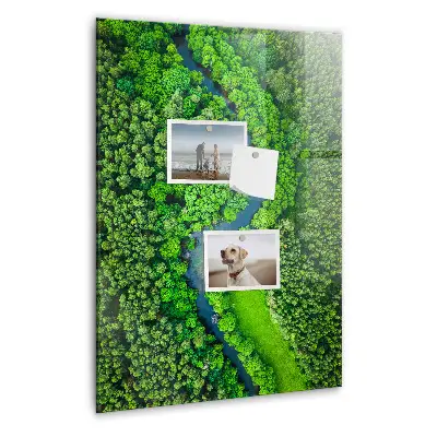 Magnetic Glass Dry Erase Board Featuring a Forest River Scene