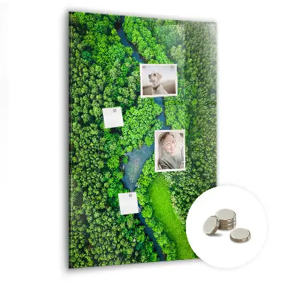 Magnetic Glass Dry Erase Board Featuring a Forest River Scene