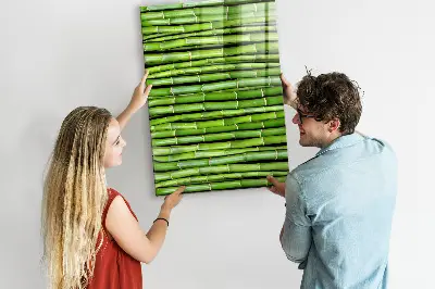Bamboo magnetic wall board