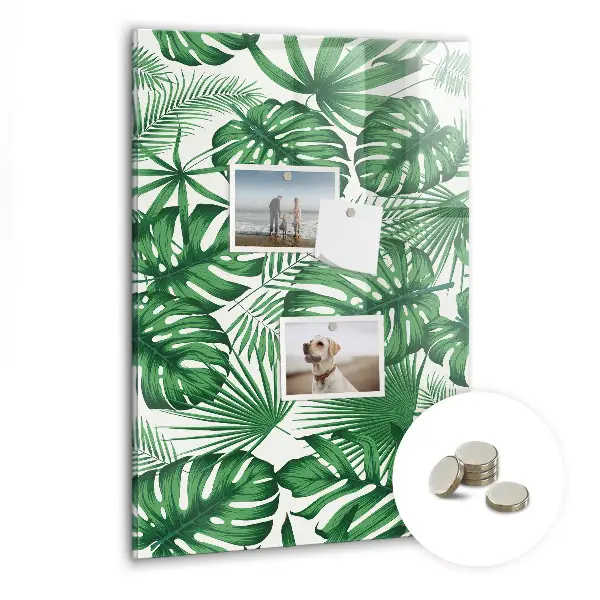 Magnet board Monstera plant leaves
