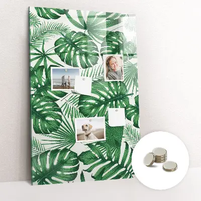 Magnet board Monstera plant leaves