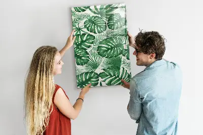 Magnet board Monstera plant leaves