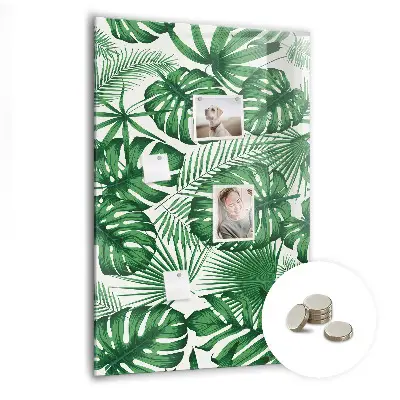 Magnet board Monstera plant leaves