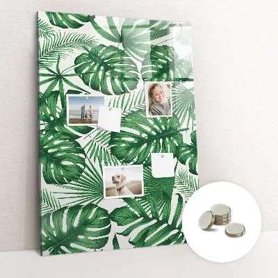 Magnet board Monstera plant leaves
