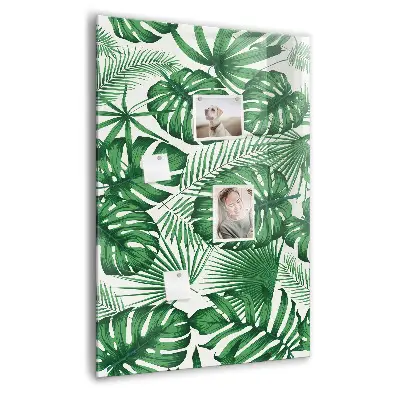 Magnet board Monstera plant leaves
