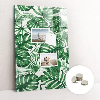 Magnet board Monstera plant leaves