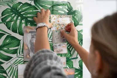 Magnet board Monstera plant leaves