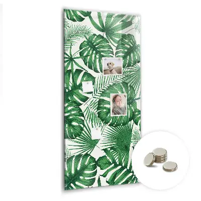 Magnet board Monstera plant leaves