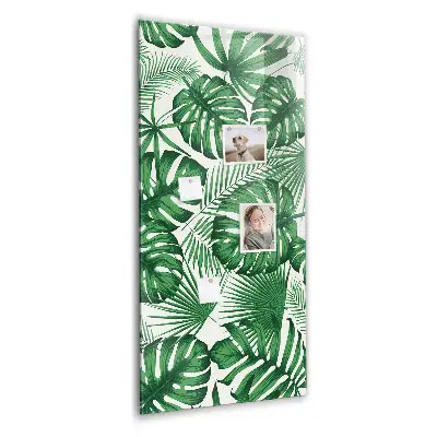 Magnet board Monstera plant leaves