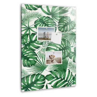 Magnet board Monstera plant leaves