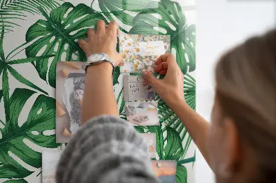 Magnet board Monstera plant leaves