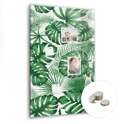 Magnet board Monstera plant leaves