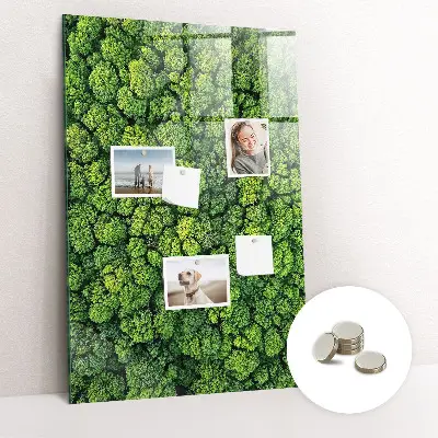 Forest Trees Nature Magnet Board