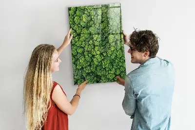 Forest Trees Nature Magnet Board