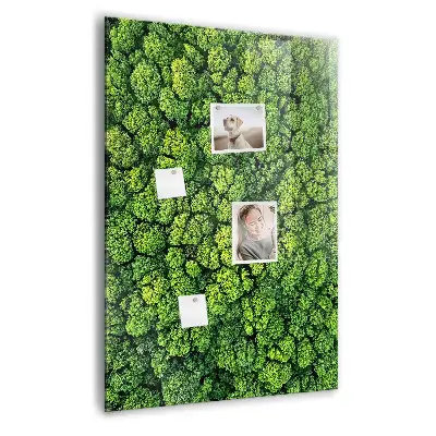 Forest Trees Nature Magnet Board