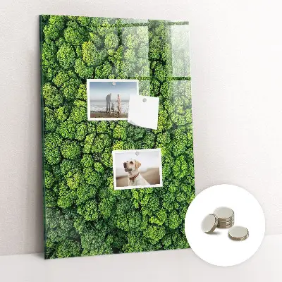Forest Trees Nature Magnet Board