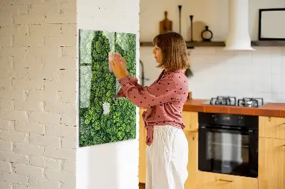 Forest Trees Nature Magnet Board