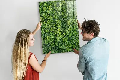 Forest Trees Nature Magnet Board