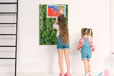 Forest Trees Nature Magnet Board