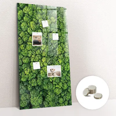 Forest Trees Nature Magnet Board