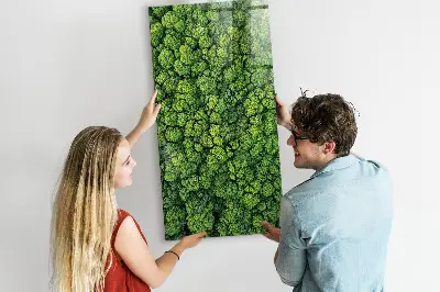 Forest Trees Nature Magnet Board