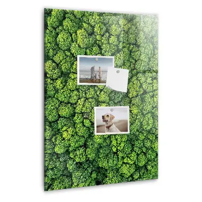 Forest Trees Nature Magnet Board
